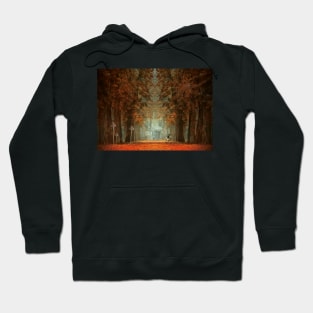 Homecoming Hoodie